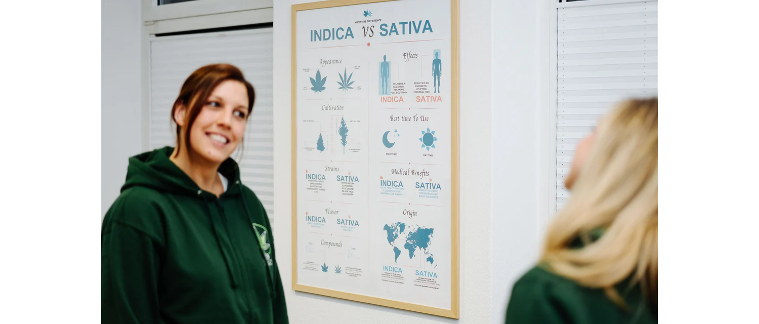 Sativa vs. Indica - Wo liegen die Unterschiede?
