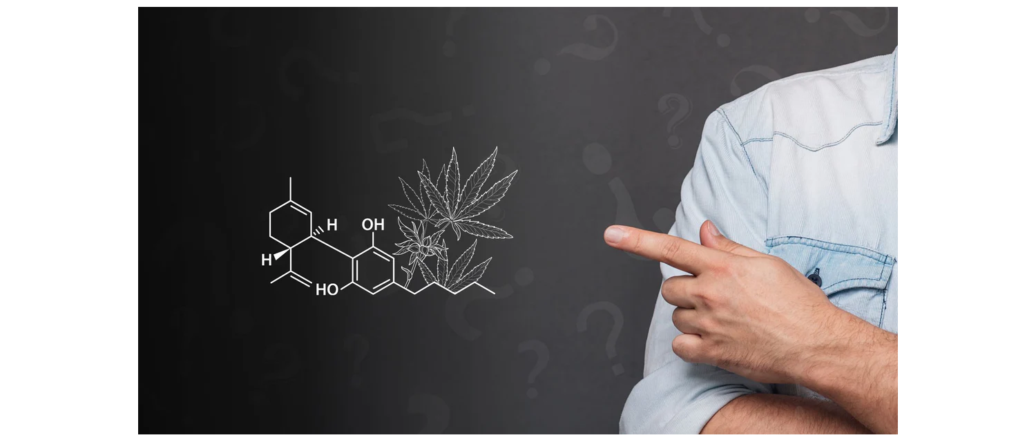 Cannabinoide – Ihre Wirkung einfach erklärt