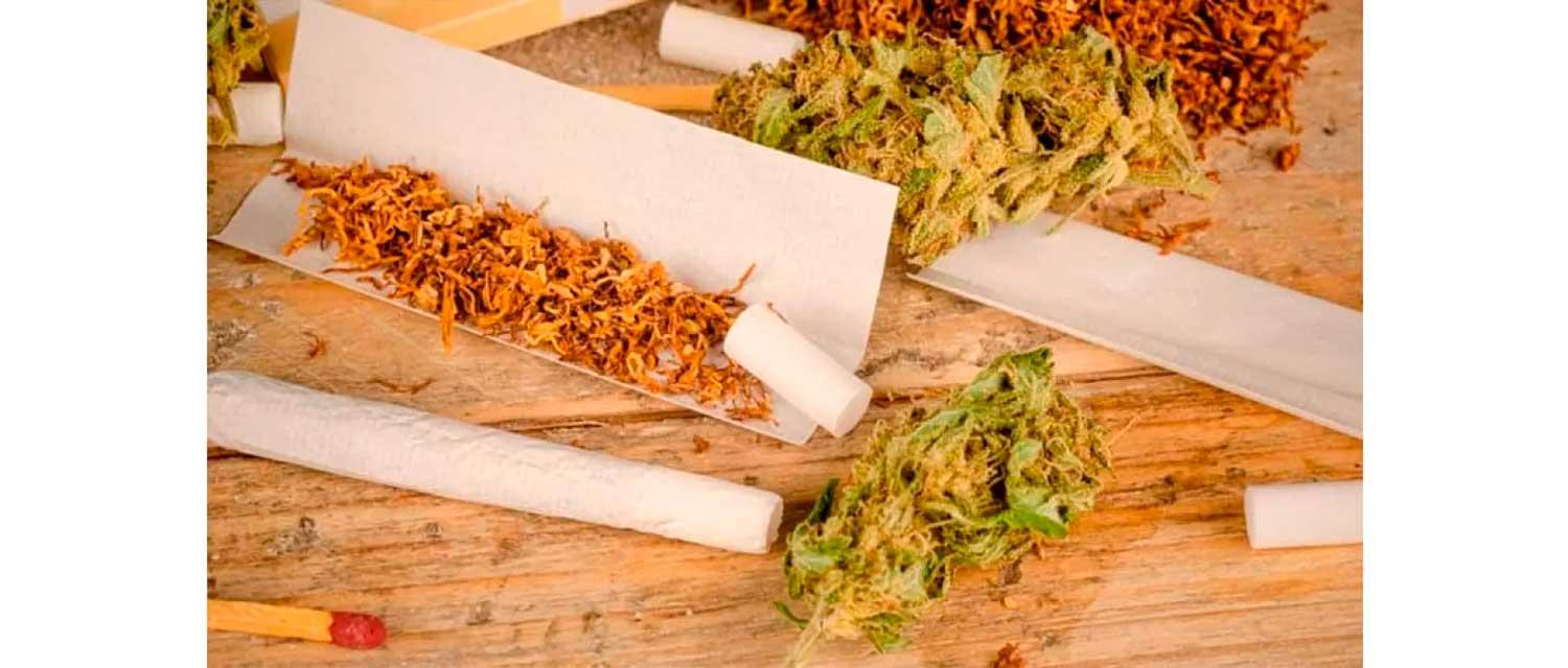 Der Einfluss von Filtern auf THC und CBD beim Cannabis-Rauchen
