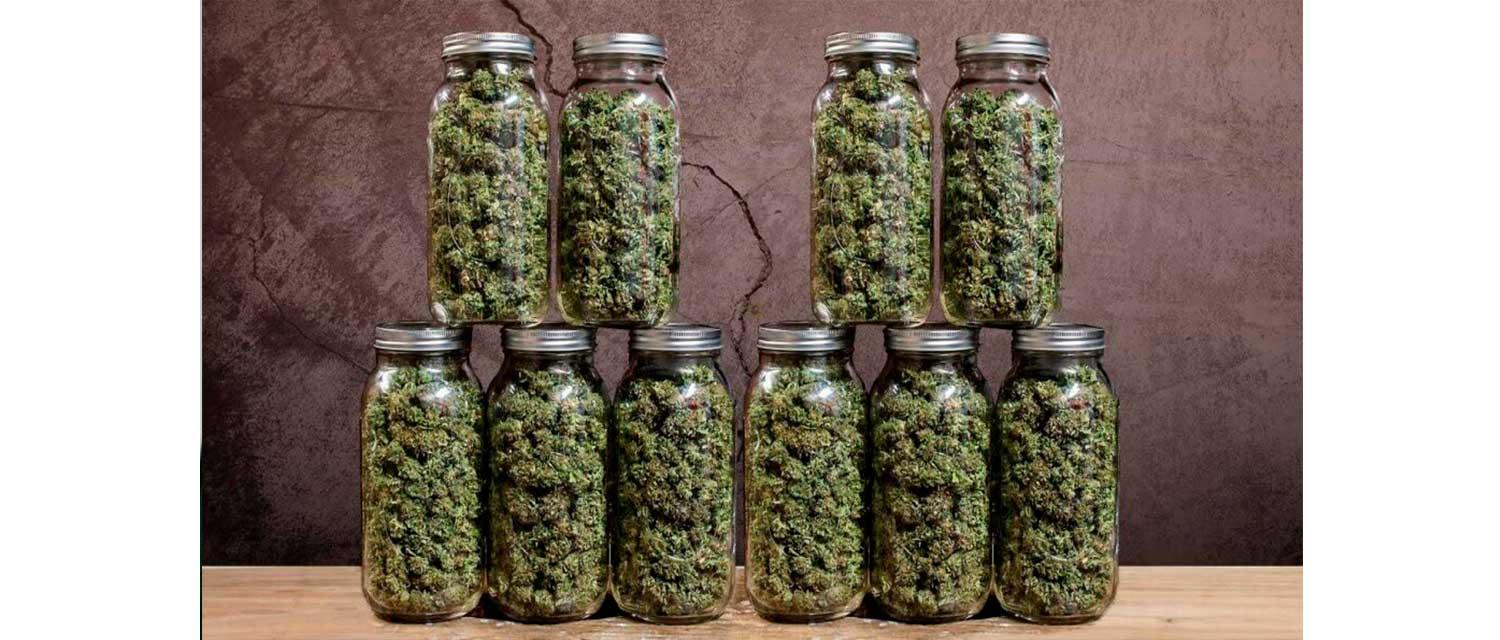 Wie lagere ich mein Cannabis am besten um es frisch zu halten?