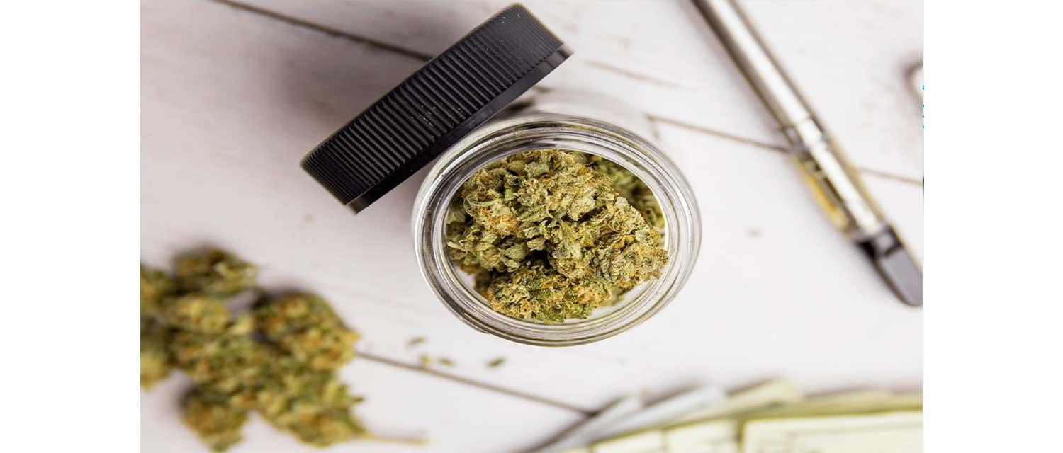 Von der Pflanze zum Arzneimittel – der Cannabisanbau