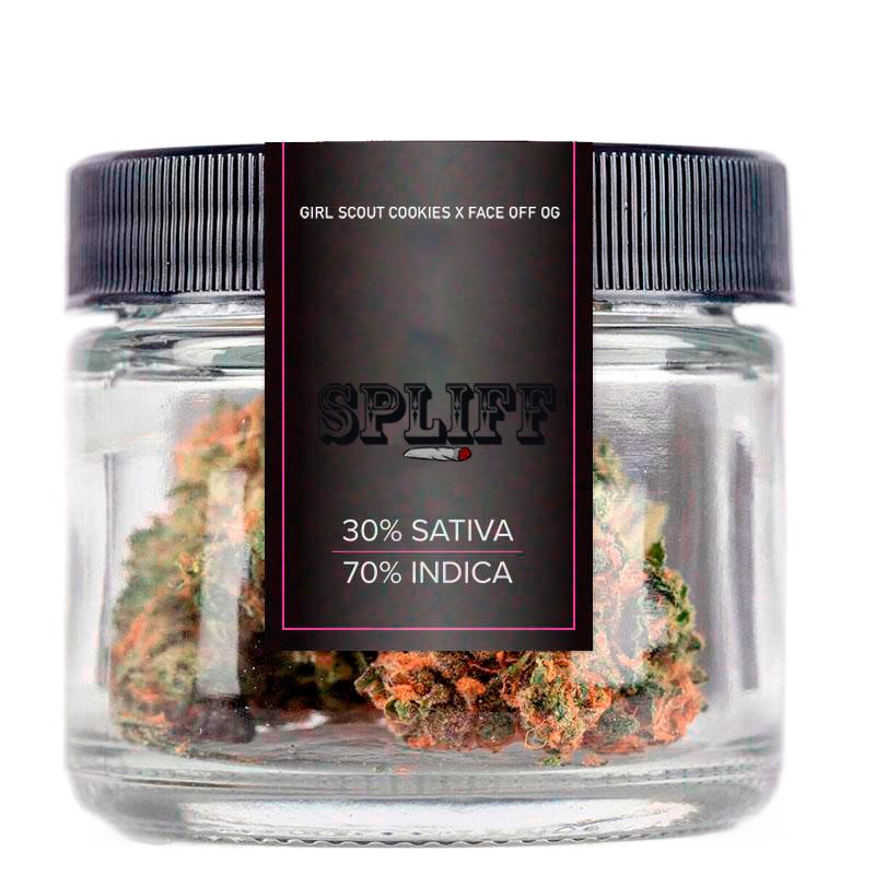 Sugar Cookie Bliss 10g Pack